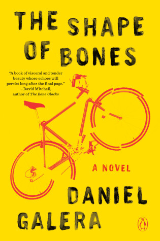 Cover of The Shape of Bones