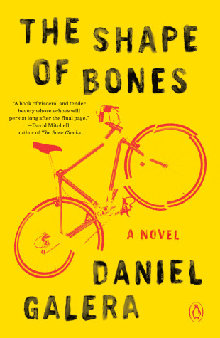 Book cover for The Shape of Bones