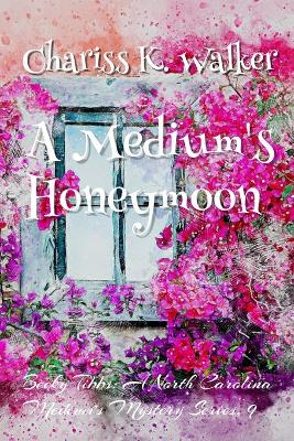 Book cover for A Medium's Honeymoon