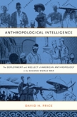 Book cover for Anthropological Intelligence