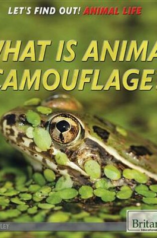 Cover of What Is Animal Camouflage?