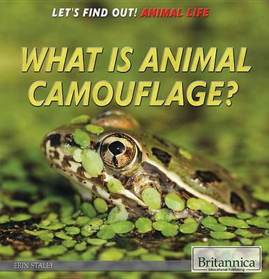 Book cover for What Is Animal Camouflage?