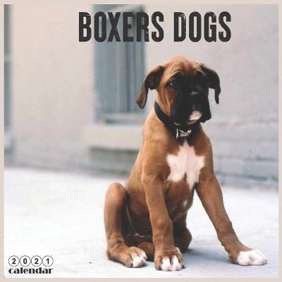 Book cover for Boxers Dogs 2021 Calendar