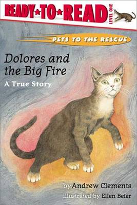 Book cover for Dolores and the Big Fire