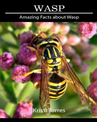 Book cover for Amazing Facts about Wasp