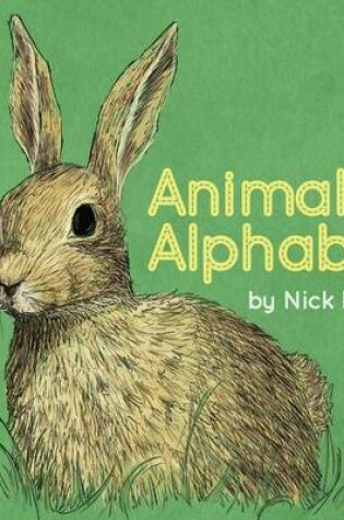 Cover of Animal Alphabet