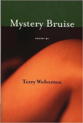 Book cover for MYSTERY BRUISE