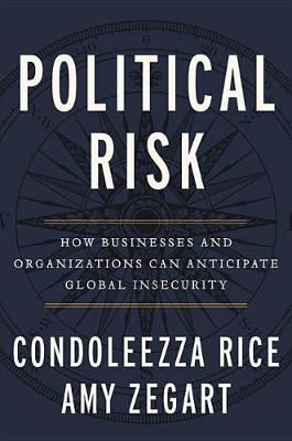 Book cover for Political Risk