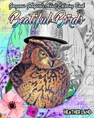 Book cover for Beautiful Birds