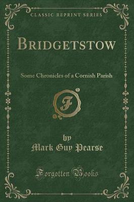 Book cover for Bridgetstow