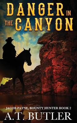 Book cover for Danger in the Canyon
