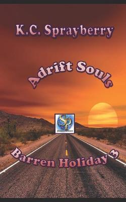 Book cover for Adrift Souls