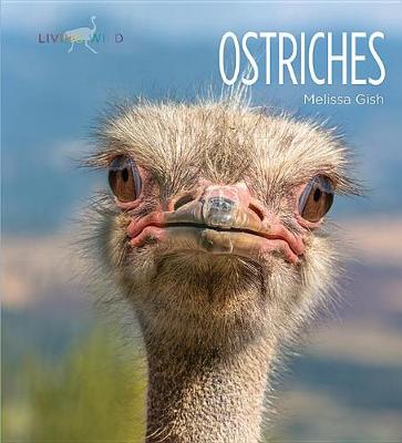 Cover of Ostriches