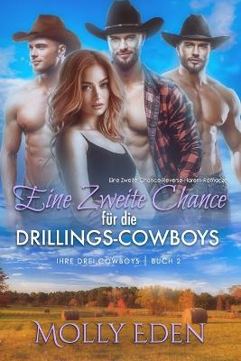 Cover of Eine Zweite Chance für die Drillings-Cowboys