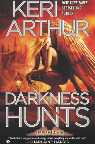 Cover of Darkness Hunts