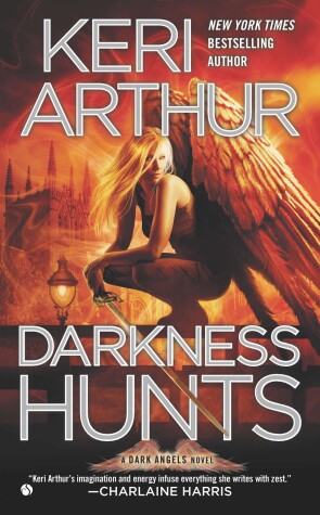 Book cover for Darkness Hunts