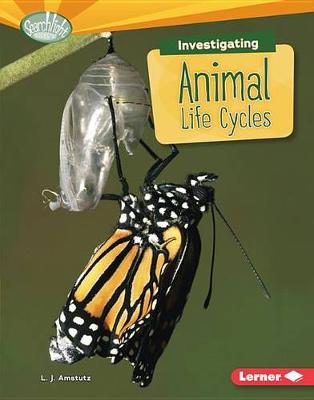 Book cover for Investigating Animal Life Cycles