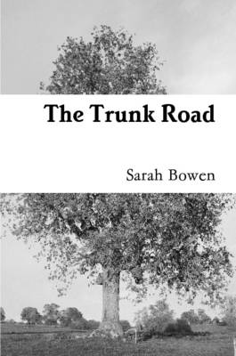 Book cover for The Trunk Road