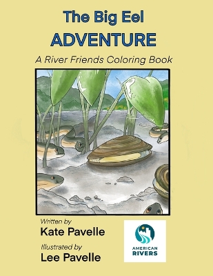 Book cover for The Big Eel Adventure