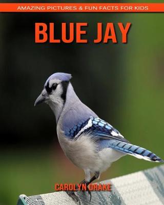 Book cover for Blue Jay