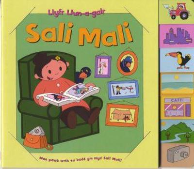 Book cover for Llyfr Llun-a-Gair Sali Mali