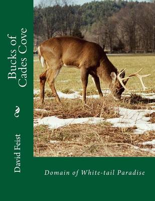 Book cover for Bucks of Cade's Cove