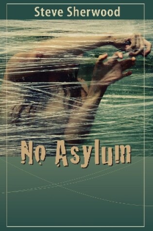 Cover of No Asylum 