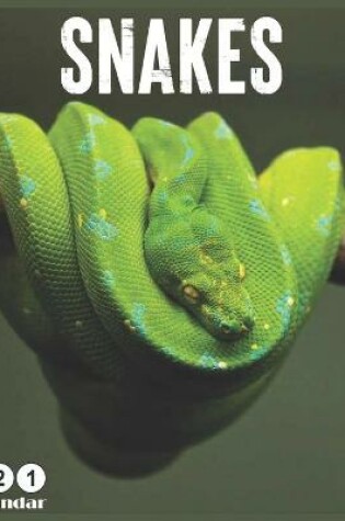 Cover of snakes 2021 Wall Calendar