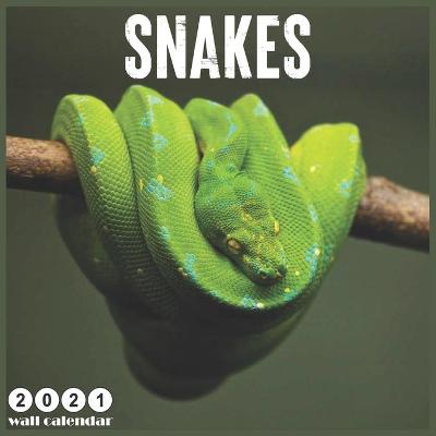 Book cover for snakes 2021 Wall Calendar