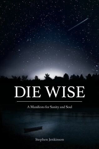 Book cover for Die Wise