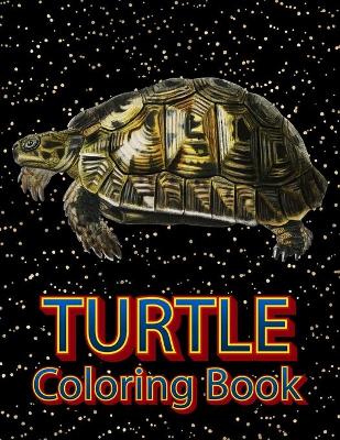 Book cover for Turtle coloring book