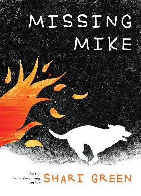 Book cover for Missing Mike
