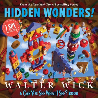 Book cover for Can You See What I See?: Hidden Wonders (from the Co-Creator of I Spy)