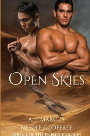 Cover of Open Skies