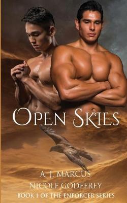 Book cover for Open Skies