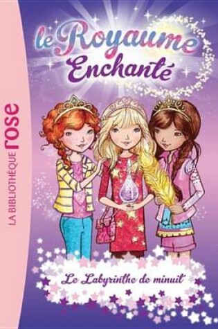 Cover of Le Royaume Enchante 12 - Le Labyrinthe de Minuit