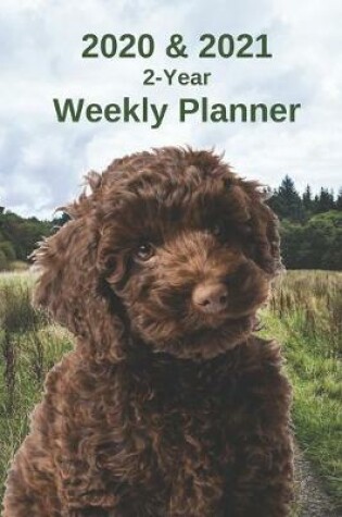 Cover of 2020 & 2021 Weekly Planner - Two Year Appointment Book Gift - Two-Year Agenda Notebook for Labradoodle Dog Owners