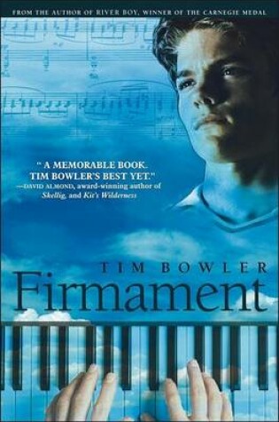 Cover of Firmament