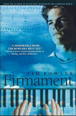 Book cover for Firmament