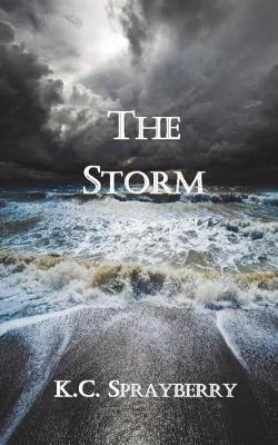 Book cover for The Storm