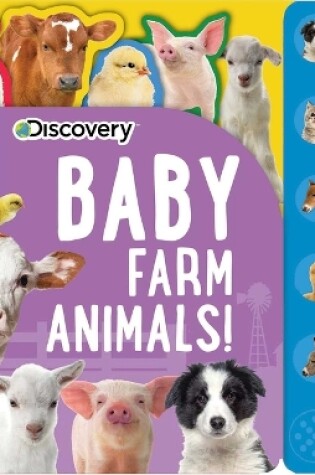 Cover of Discovery: Baby Farm Animals!