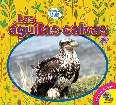Book cover for Las Águilas Calvas