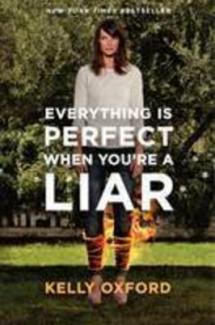 Cover of Everything Is Perfect When You're a Liar