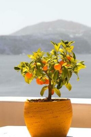 Cover of Miniature Fruit Tree on a Balcony in Greece Travel Journal