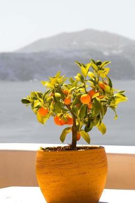 Book cover for Miniature Fruit Tree on a Balcony in Greece Travel Journal