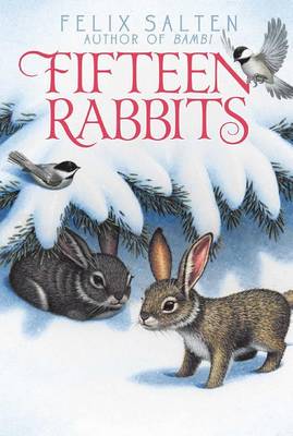 Book cover for Fifteen Rabbits