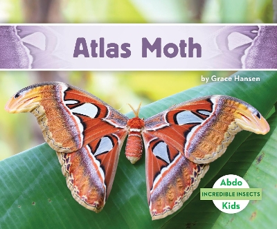 Book cover for Atlas Moth