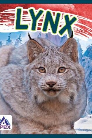 Cover of Lynx