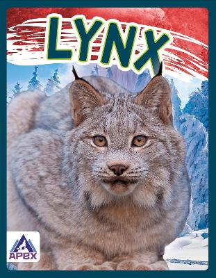 Book cover for Wild Cats: Lynx