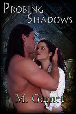 Book cover for Probing Shadows